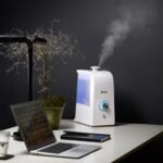 oro drėkintuvas Wood's