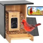 išmani pauksčių lesyklėlė su kamera birdfy